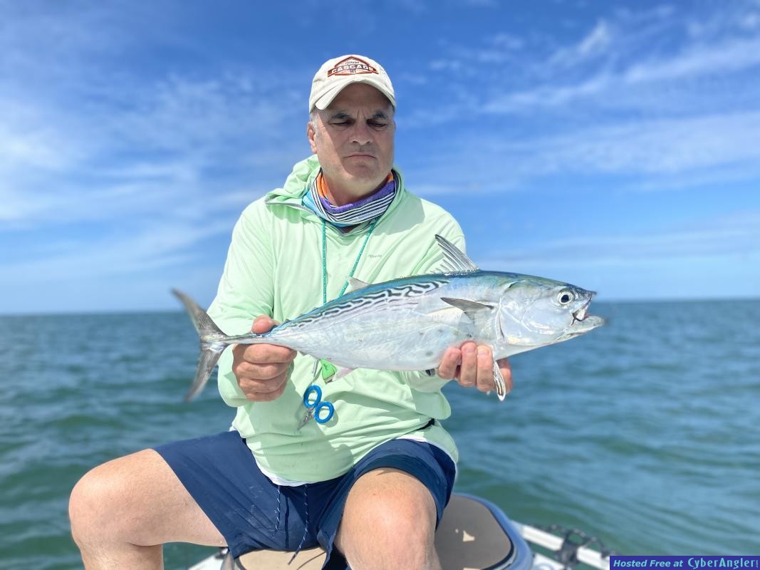 Skyway_bonita_fly_fishing