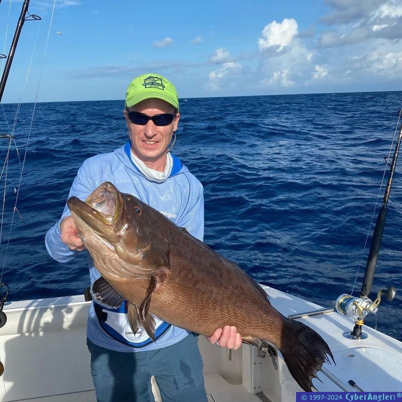 Click to Enlarge Photo