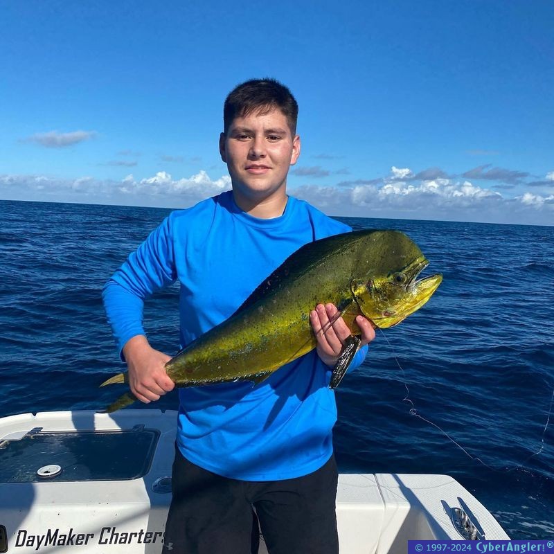 Click to Enlarge Photo