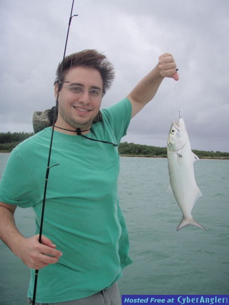 Arie_F_and_Bluefish