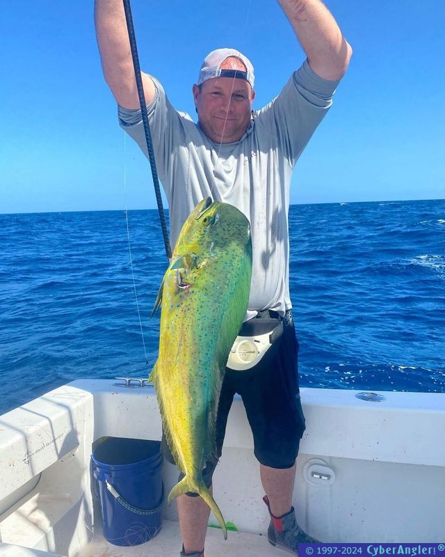 Click to Enlarge Photo