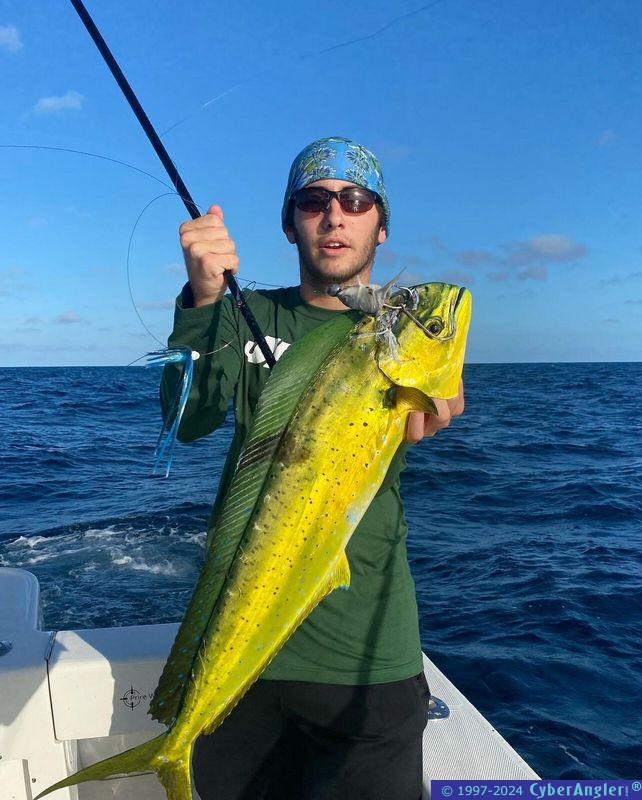 Click to Enlarge Photo