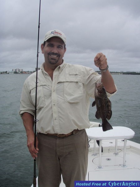 Low_P_and_Black_Grouper