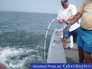 Click to Enlarge Photo