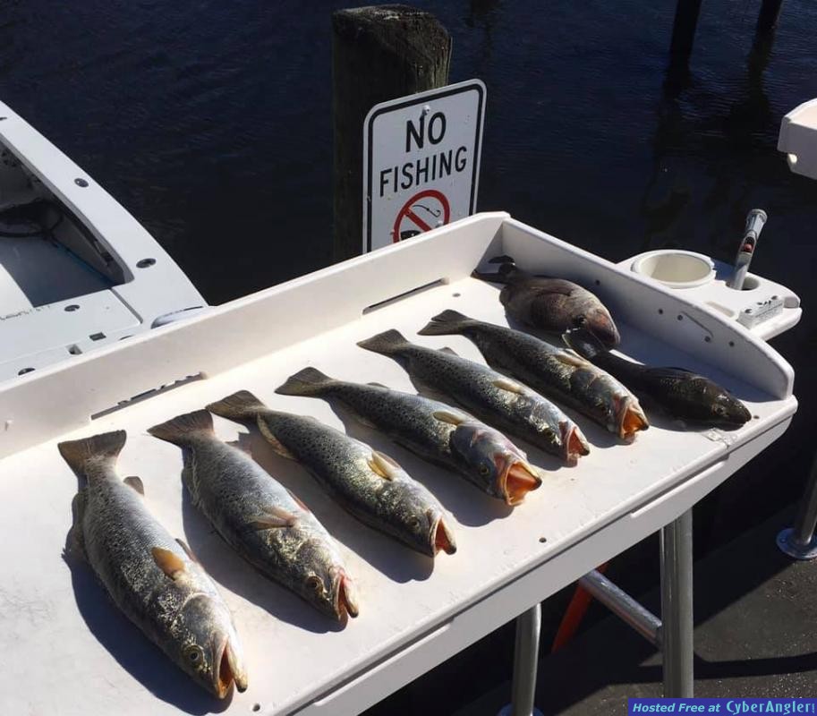 Cedar_Key_Florida_Fishing_Report_November_2020