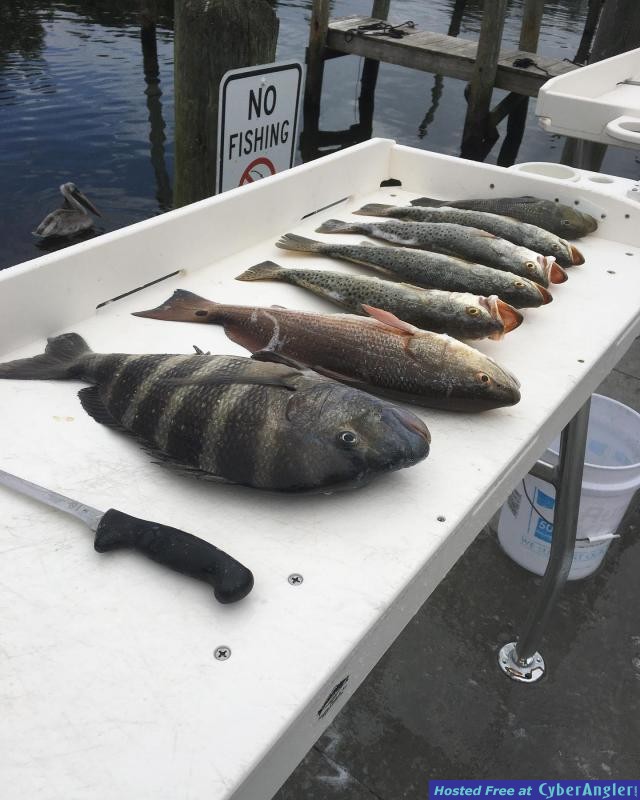 Inshore_Fishing_Report_Cedar_Key_Florida