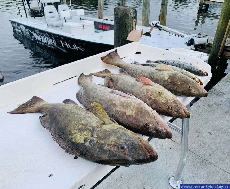 Offshore_fishing_reports_crystal_river_florida