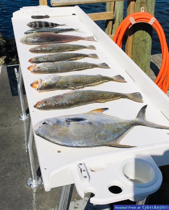Fishing_Reports_November_Homosassa_Florida