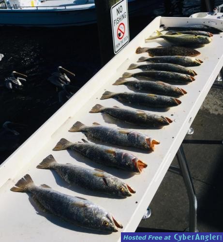 Fishing_Reports_Crystal_River_Florida_November_2020_Offshore