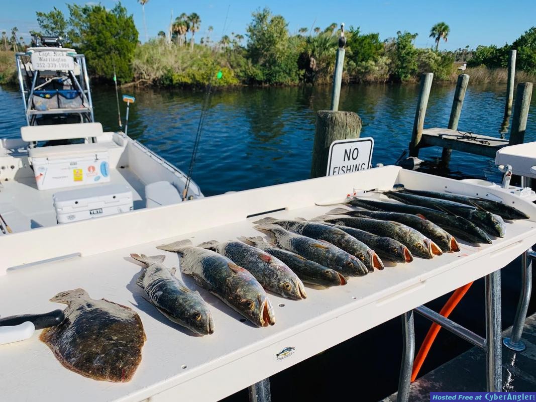 Cedar_Key_Fishing_Report_November_2020