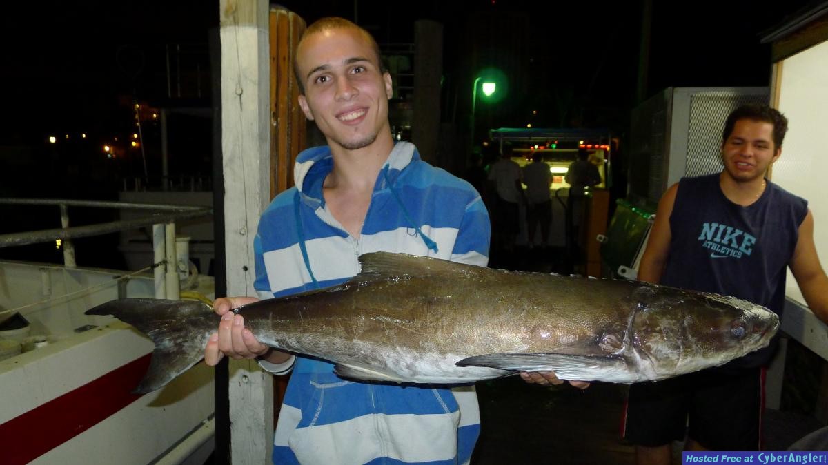 Big_cobia_caught_on_Catch_My_Drift