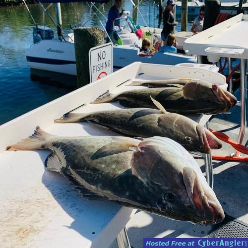 Shallow_Water_Grouper_Fishing_Report_Cedar_Key