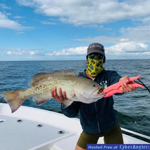 Crystal_River_Grouper_Trolling_Report