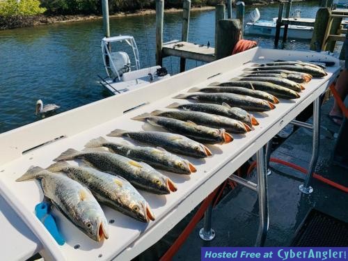 Crystal_River_Florida_Inshore_fishing_report_spotted_sea_trout