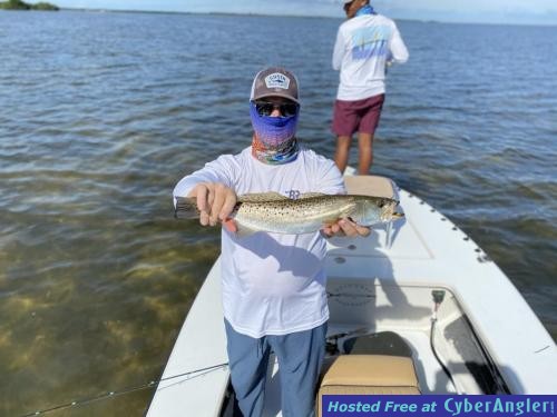 Speckled_Sea_Trout_in_Upper_Tampa_bay