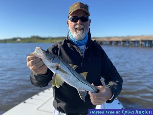 Snook_fishing_Safety_Harbor