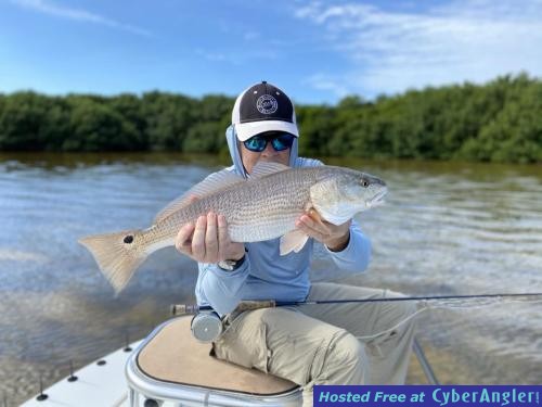 Fly_fishing_Upper_Tampa_bay_Redfish