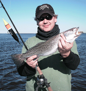 Click to Enlarge Photo