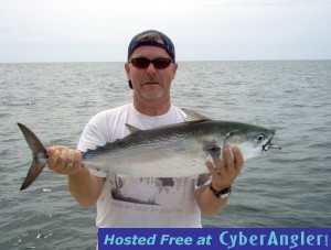 ten-pound bonito