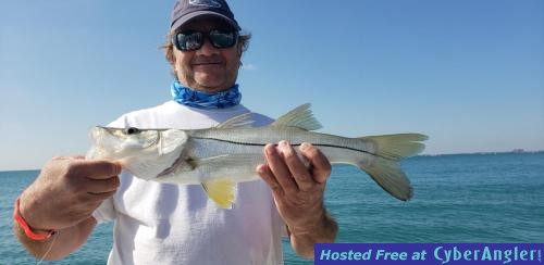 Click to Enlarge Photo