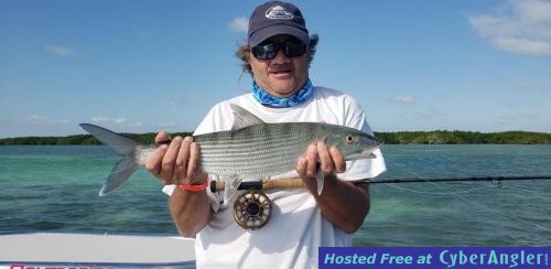 Click to Enlarge Photo