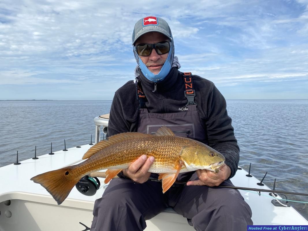 Fly_Fishing_Tailing_Redfish_Shallow_Water