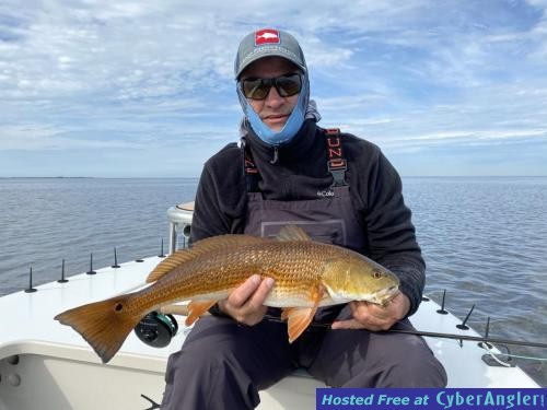 Fly_Fishing_Tailing_Redfish_Shallow_Water