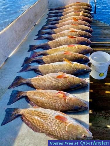 Whiskey_Bayou_Charters___Fishing_Report___Winter_Redfishing_6