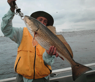 Click to Enlarge Photo