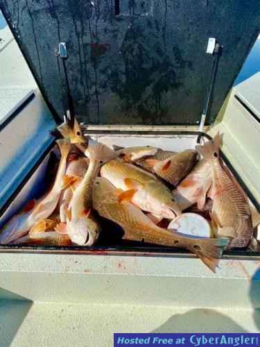 Whiskey_Bayou_Charters___Fishing_Report___Two_Day_Fishing_Trip_in_the_Marsh