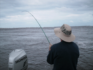 Click to Enlarge Photo