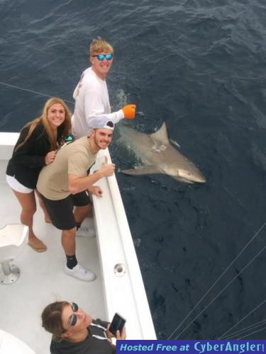 Click to Enlarge Photo