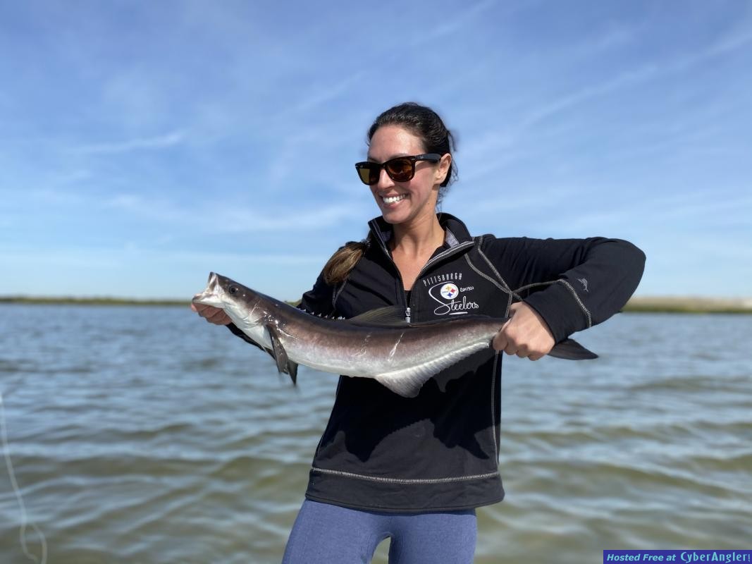 Inshore_Cobia_on_Artificial