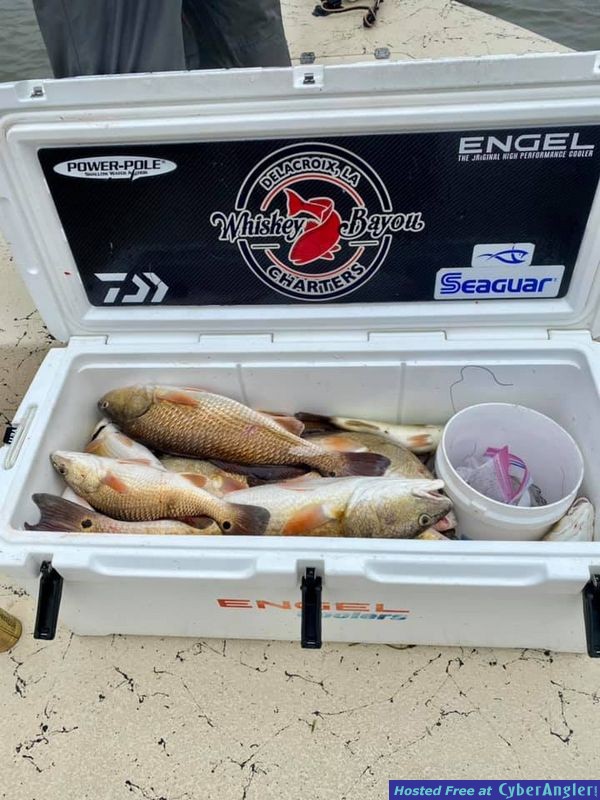 rainstorms-and-redfish5