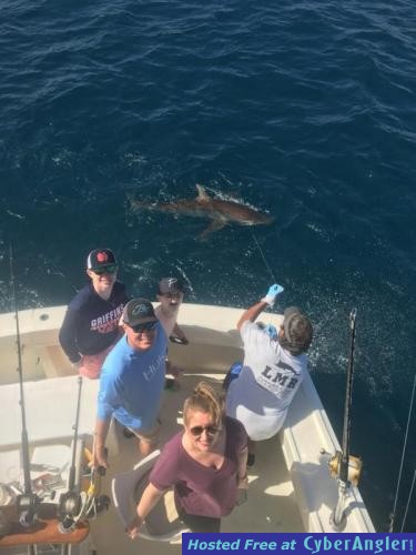 Click to Enlarge Photo