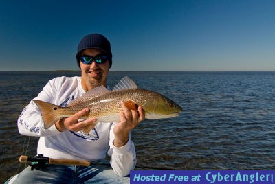 Capt. Joe's tailing red on fly