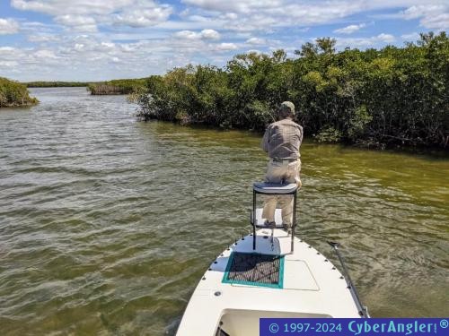 Click to Enlarge Photo