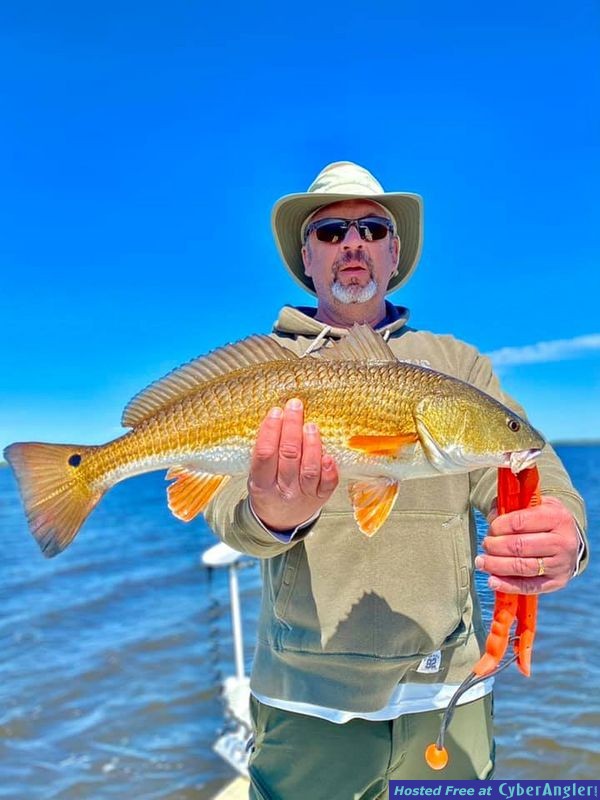 landed-a-flatfish1
