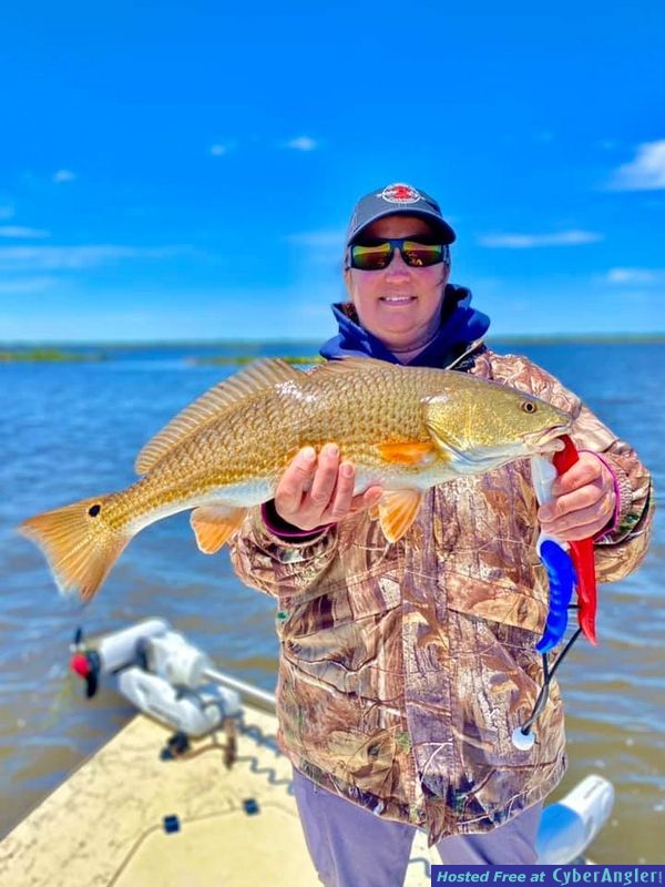 landed-a-flatfish2