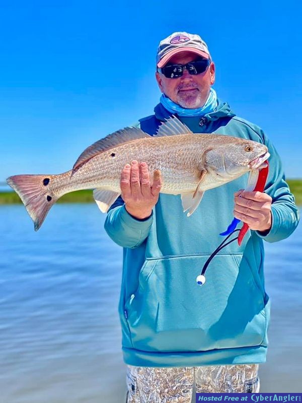 the-year-of-the-flounder2