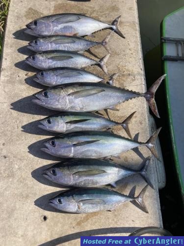 Click to Enlarge Photo