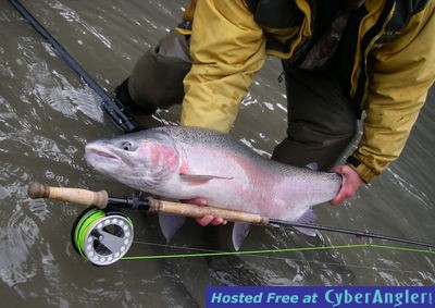 Spey fly fishing for wild BC Steelhead