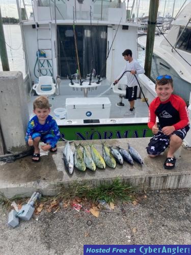 Click to Enlarge Photo