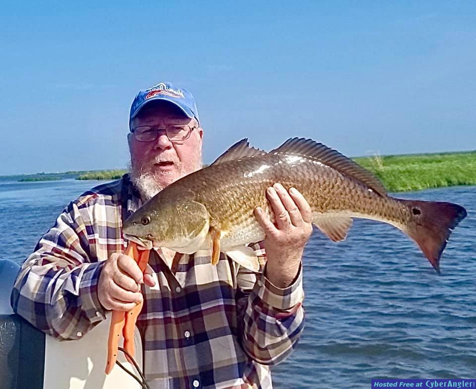 year-of-flounder-continues2