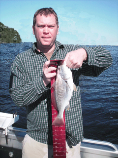 Click to Enlarge Photo