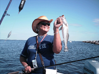 Click to Enlarge Photo