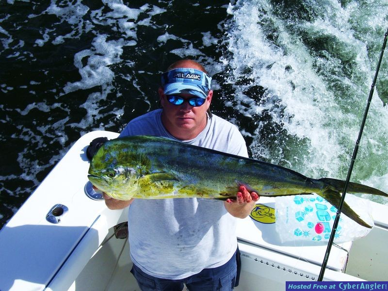 Click to Enlarge Photo