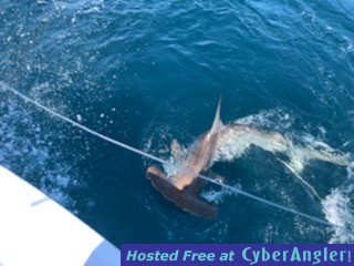 Click to Enlarge Photo