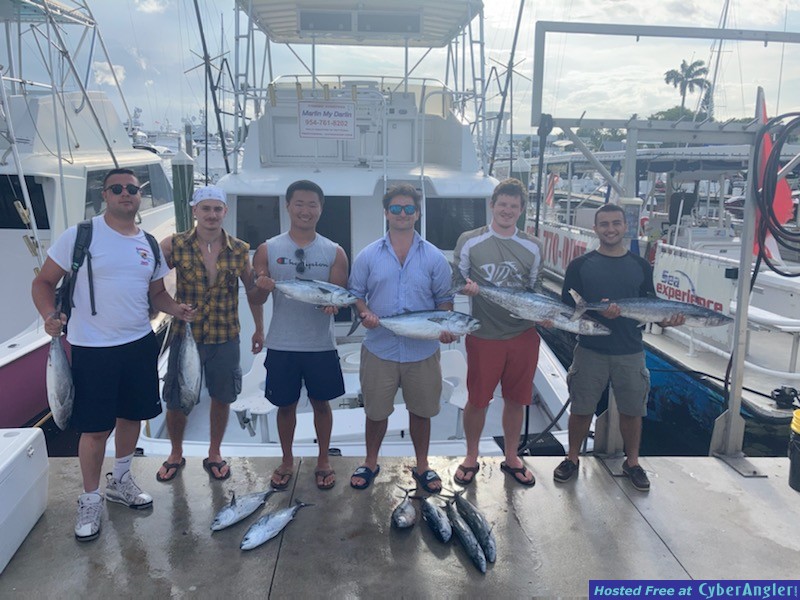 Click to Enlarge Photo