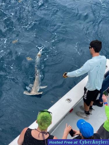 Click to Enlarge Photo